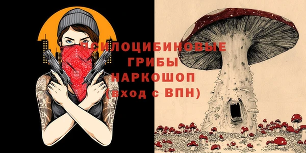 каннабис Алексеевка
