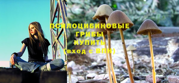 ПСИЛОЦИБИНОВЫЕ ГРИБЫ Алзамай