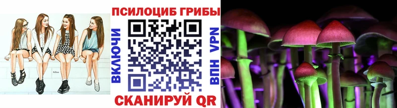 где купить наркоту  Кирс  Галлюциногенные грибы прущие грибы 